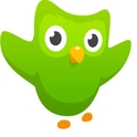 Duolingo:   